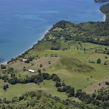 Hotel Punta De Aguila Necoclí Esterno foto